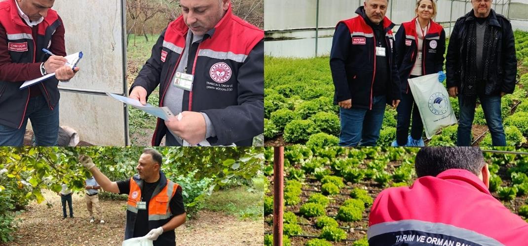 2025 YILI HASAT ÖNCESİ PESTİSİT DENETİMLERİ TAMAMLANDI 