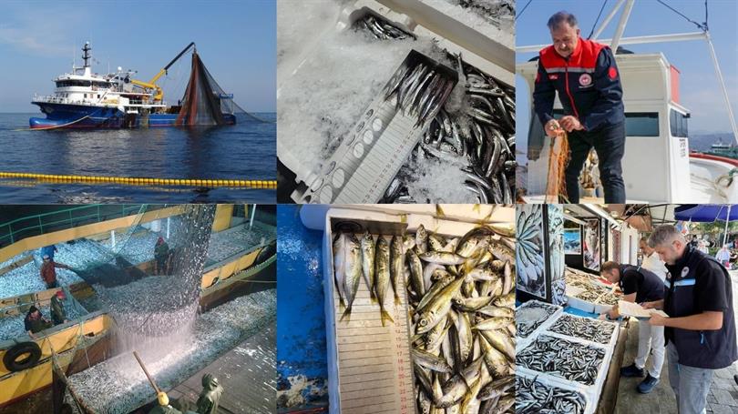 15 NİSAN İTİBARİYLE BALIKÇILIKTA GENEL AV YASAĞI BAŞLADI