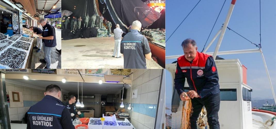 2025 Yılında Trabzon’da Su Ürünleri Kontrol ve Denetim Faaliyetleri