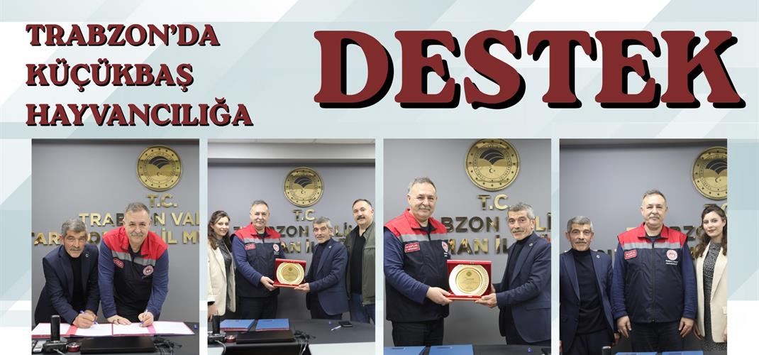 Trabzon’da Küçükbaş Hayvancılığa Destek