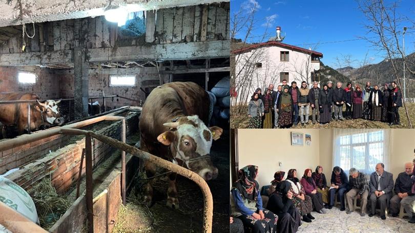 Deneyim, Eğitim, Rehberlik ve İletişim (DERİM) Programı İlçelerimizde Devam