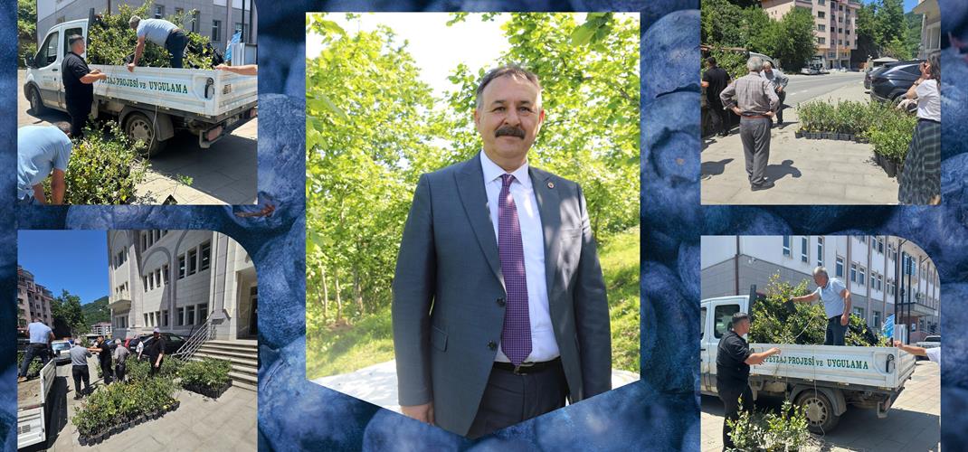 Maviyemiş Yetiştiriciliğini Geliştiriyoruz